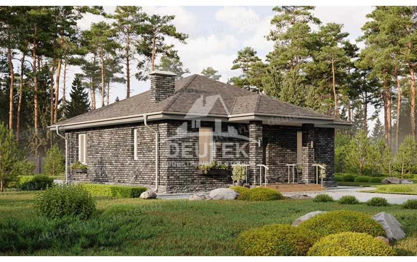 Проект жилого одноэтажного дома с размерами 10 м на 12 м - LK-269