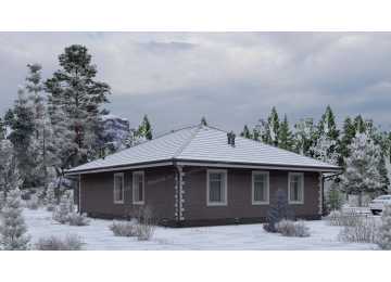 Проект жилого одноэтажного дома с размерами 8 м на 11 м - P244