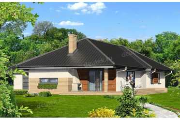 Проект европейского одноэтажного дома с двухместным гаражом и камином 20 на 20 метров DTS100031