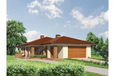 Проект дома с гаражом на 2 машины в 1 этаж DTM125