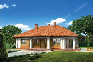 Проект дачного одноэтажного дома DTM127