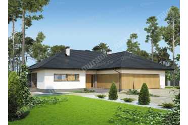 Проект большого одноэтажного дома с гаражом DTM171