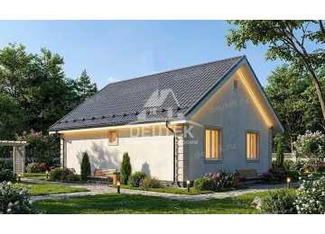 Проект дачного одноэтажного дома с террасой - LK-339